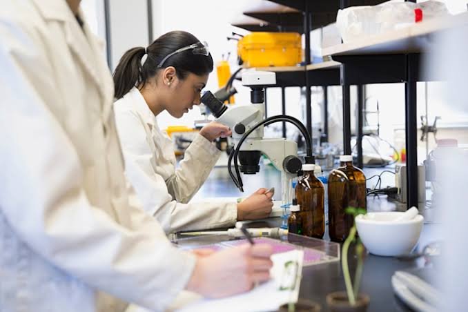 Scientist Salary in the United States